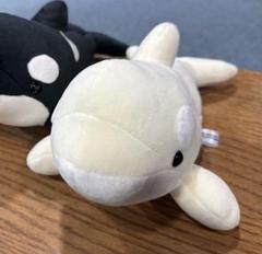 名古屋港水族館　くじ　特賞　シャチ　ぬいぐるみ 名古屋港水族館 シャチ ぬいぐるみくじ - ぬいぐるみくじ発見紀