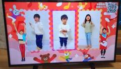 テレビ　ジャンク品のサムネイル