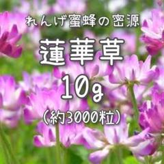 ⑳大きめ苗! 龍鱗蓮華❣️ちょこん❣️モルゲン❣️ひなまつり❣️メルカリ便送料込 2025年最新】蓮花の人気アイテム - メルカリ
