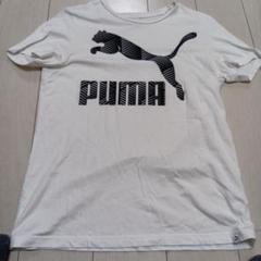PUMA ホワイト Tシャツ L