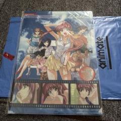 ダブルキャスト　クリアファイル