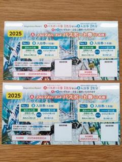 2025年最新】ナガシマスパーランド パスポート券 2枚セットの