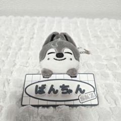 2025年最新】ウルフチャンの人気アイテム - メルカリ