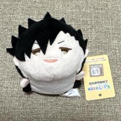 ハイキュー 黒尾鉄朗 孤爪研磨 もちマス ぬいぐるみ まとめ売り Amazon.co.jp: ハイキュー!! もちぴこBIGぬいぐるみ② 公式 全2