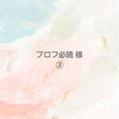 chattkuri プロフ必読‼️ページ プロフ必読様 専用ページ - メルカリ