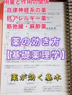 2025年最新】歯学部 cbtの人気アイテム - メルカリ