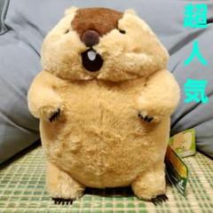 マーモットのもっとっと　ぬいぐるみ　JB 2種セット ≪2月の新商品≫マーモットのもっとっと-NEW ITEM！｜アミューズ