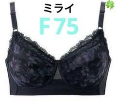 シャルレ シャルレミライ ブラジャー D75 2枚入 ブラック FA281 新品 2025年最新】シャルレ ミライの人気アイテム - メルカリ
