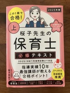 2025年版（令和7年度）桜子先生の保育士必修テキスト上、下、問題集書き込みなし
