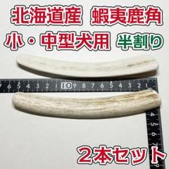 鹿の角　20本　まとめ売り シカのおとしもの キミのたからもの」 Mサイズ 鹿の角 犬用