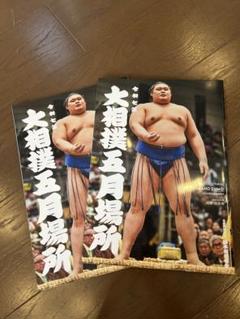 令和七年　大相撲五月場所　パンフレット　2冊　星取表3枚
