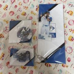 ファイターズ くじ 万波中正 3種