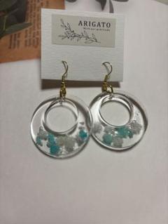 ⭐️ハンドメイド⭐️UVレジン　ピアス　フックピアス　押し花　クリア　金具変更可
