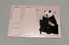 シャンシャンの雪あそび 限定カード シャンシャンの中国だより アクリルスタンド シャンシャンの雪あそび』『飾れる写真集 シャンシャンの中国だ