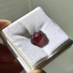 【ケース入り】濃色 ロードライトガーネット 原石 天然石 鉱物標本