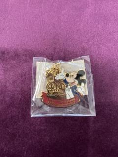 【非売品】TDL 20周年 ドリーム ディズニー ピンバッチ 5点 (チャーム) 2025年最新】ディズニーランド 20周年 ピンの人気アイテム