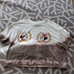 Bershka&ディズニーコラボ　プリントミニ Tシャツ　М　茶系　ショート丈