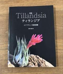 セール！ 洋書『ベネズエラの山岳植物、アンデスとテプイ、ブロメリア』植物図鑑 2025年最新】ブロメリア図鑑の人気アイテム - メルカリ