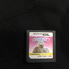 かわいい子猫 DS ソフト