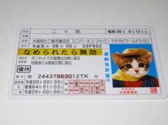 2025年最新】免許証 ゴールド なめ猫の人気アイテム - メルカリ