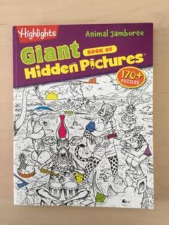 Giant Hidden Pictures
