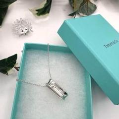 本日最終【極美品】ティファニー　ナローオーバルループネックレス　ポーチ付属 楽天市場】TIFFANY&Co. ティファニー クルーシーフォーム
