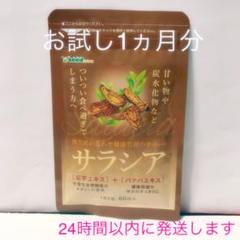 シードコムスサラシア 1カ月分