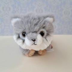 限定出品 動物園限定販売品 マヌルネコ 大きい ぬいぐるみ