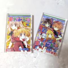 レトロ　非売品　聖ドラゴンガール　ミニ袋 2025年最新】聖ドラゴンガールの人気アイテム - メルカリ