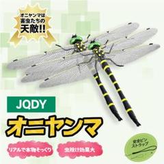 アザミカマキリ雌　立体標本 アザミカマキリ雌 立体標本 標本