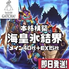 氷水海皇デッキ　遊戯王引退品 遊戯王 海皇氷水 デッキ 本格構築