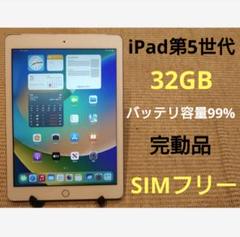 完動品SIMフリーiPad第5世代(A1823)本体32GB送料込W47Z3