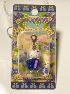 完売 激レア】南アルプス かぐや姫 含むご当地キティ6種
