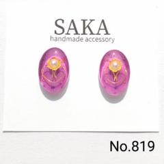 〔No.819〕ハンドメイドアクセサリー　レジンピアス　イヤリング