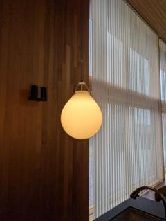 louis poulsen MOSER PEND. Ø250 100W Louis Poulsen Moser Pendant Light - 2Modern