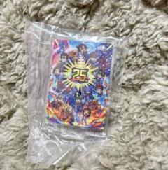 デジモン　25周年　クラウドファンディング　缶バッジ　アクリルスタンド デジモン 25周年 クラウドファンディング 缶バッジ アクリル
