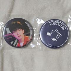 SEVENTEEN WONWOO 缶バッジセット SEVENTEEN セブチ ウォヌ 歴代 セット 缶バッジ アクリルバッジ