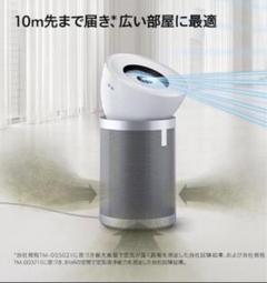 Amazon.com: Dyson Purifier Big+Quiet Formaldehyde BP03