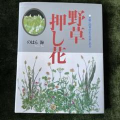 野草押し花 手軽に四季の彩りを楽しめる