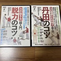 八光流　広沢師範　脱力のコツ、丹田のコツ 超入門 DVD 2枚組