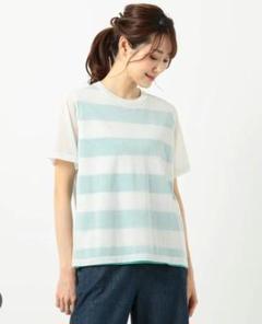 組曲 洗えるシアーニットTシャツ きれい色 ビックボーダー クルーネック３ L