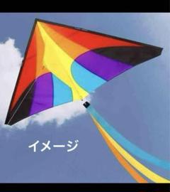 レインボーカイト 凧揚げ おもちゃ 組み立て式 凧糸 頑丈 スプール付き