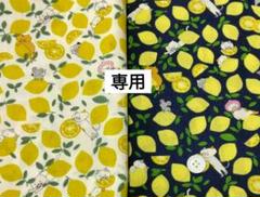 専用！2色セット　レモンと猫　コットンこばやし　ブロード生地　各1m