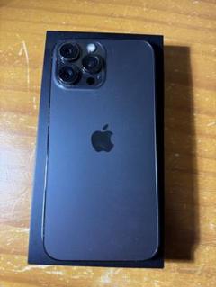 iPhone13proMax 256GB
