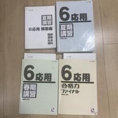新品2024年度日能研夏期講習特別テスト4年 - メルカリ