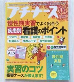 プチナース 2017年11月 慢性期 看護実習 実習のこつ