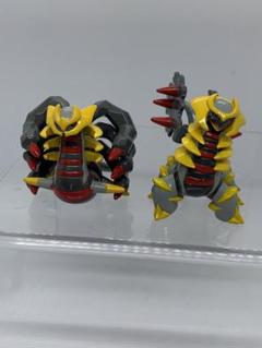 Amazon.co.jp: ポケットモンスター モンスターコレクション MC
