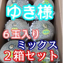 長崎県島原半島産タカミメロン6玉入×2箱(ミックス) 長崎県島原半島産タカミメロン6玉入×2箱ミックス - メルカリ