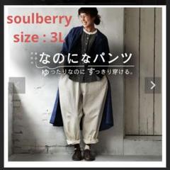 訳あり 大きいサイズ 3L なのになパンツ ソウルベリー - メルカリ パンツ