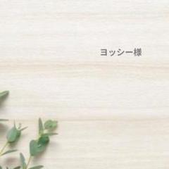 ヨッシー様　専用ページ♪ヘアピン１点　ピアス１点